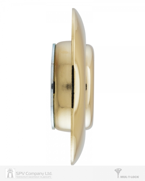 Протектор MUL-T-LOCK A625 OMEGA OVAL 25мм 40-50мм Латунь PVD 3клас BRIGHT BRASS PVD Внешний-фото-5 Фото 5 - Протектор MUL-T-LOCK A625 OMEGA OVAL 25мм 40-50мм Латунь PVD 3клас BRIGHT BRASS PVD Внешний.