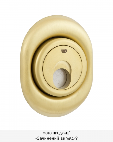 Протектор Disec Magnetic_3g 3g2fm Din Oval 25мм Латунь_мат 3клас Tt 3key Km0p3g Зовнішній-фото-2 Фото 2 - Протектор Disec Magnetic_3g 3g2fm Din Oval 25мм Латунь_мат 3клас Tt 3key Km0p3g Зовнішній.
