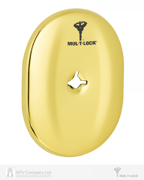 Щиток MUL-T-LOCK A703 OMEGA OVAL Латунь PVD BRIGHT BRASS PVD Без шторки-фото-1 Фото 1 - Щиток MUL-T-LOCK A703 OMEGA OVAL Латунь PVD BRIGHT BRASS PVD Без шторки.
