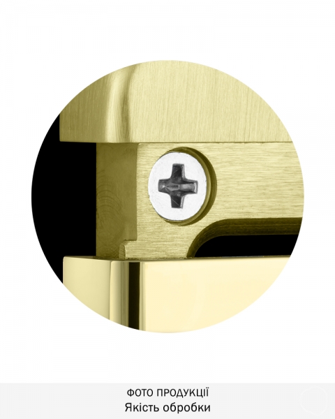 Протектор Disec Magnetic_3g Mg220mini Lever_key Oval 12мм Латунь_pvd 3клас 2 3key Km0p70 Зовнішній-фото-4 Фото 4 - Протектор Disec Magnetic_3g Mg220mini Lever_key Oval 12мм Латунь_pvd 3клас 2 3key Km0p70 Зовнішній.