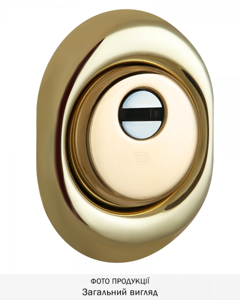 Протектор Disec Diamond Bkd250 Din Oval 25мм Латунь_pvd 4клас 2 Зовнішній-фото-1 Фото 1 - Протектор Disec Diamond Bkd250 Din Oval 25мм Латунь_pvd 4клас 2 Зовнішній.