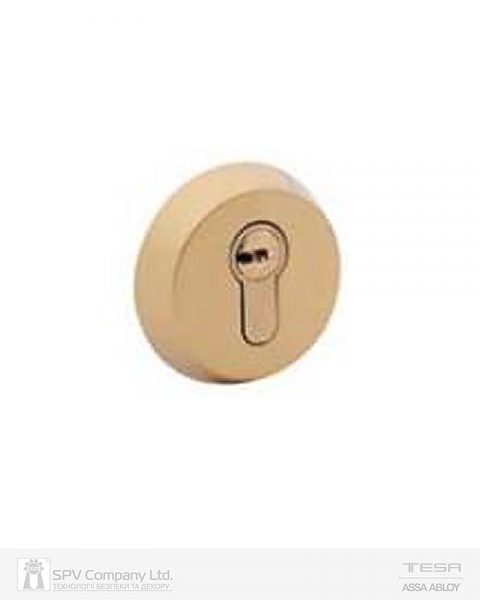 Замок Врізний Tesa 1-way Din R100b5s Ce Bright_brass Bs50мм 85мм W/o_sp З Протектором E300l-фото-2 Фото 2 - Замок Врізний Tesa 1-way Din R100b5s Ce Bright_brass Bs50мм 85мм W/o_sp З Протектором E300l.