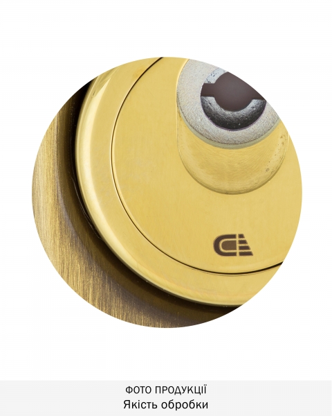 Протектор Disec Magnetic_3g 3g8fm Omega Oval 20мм Бронза_сатин 3клас Bs 3key Km0p3g Зовнішній-фото-3 Фото 3 - Протектор Disec Magnetic_3g 3g8fm Omega Oval 20мм Бронза_сатин 3клас Bs 3key Km0p3g Зовнішній.