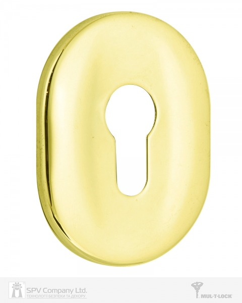 Щиток MUL-T-LOCK MATRIX A618 DIN OVAL 40-50мм Латунь PVD BRIGHT BRASS PVD Без шторки-фото-2 Фото 2 - Щиток MUL-T-LOCK MATRIX A618 DIN OVAL 40-50мм Латунь PVD BRIGHT BRASS PVD Без шторки.
