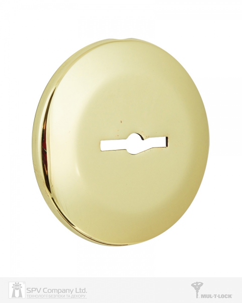 Щиток MUL-T-LOCK A731 MATRIX ROUND Латунь_PVD BRIGHT_BRASS_PVD Без шторки-фото-1 Фото 1 - Щиток MUL-T-LOCK A731 MATRIX ROUND Латунь_PVD BRIGHT_BRASS_PVD Без шторки.