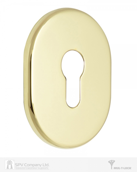 Щиток MUL-T-LOCK A630 DIN OVAL 40-50мм Латунь PVD 3клас BRIGHT BRASS PVD Без шторки-фото-5 Фото 5 - Щиток MUL-T-LOCK A630 DIN OVAL 40-50мм Латунь PVD 3клас BRIGHT BRASS PVD Без шторки.