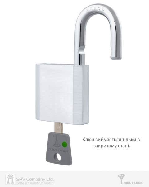 Замок навесной MUL-T-LOCK G55 7x7 0767 2KEY DND77 GREY INS NR shackle 27мм 10мм BOX M-фото-11 Фото 11 - Замок навесной MUL-T-LOCK G55 7x7 0767 2KEY DND77 GREY INS NR shackle 27мм 10мм BOX M.