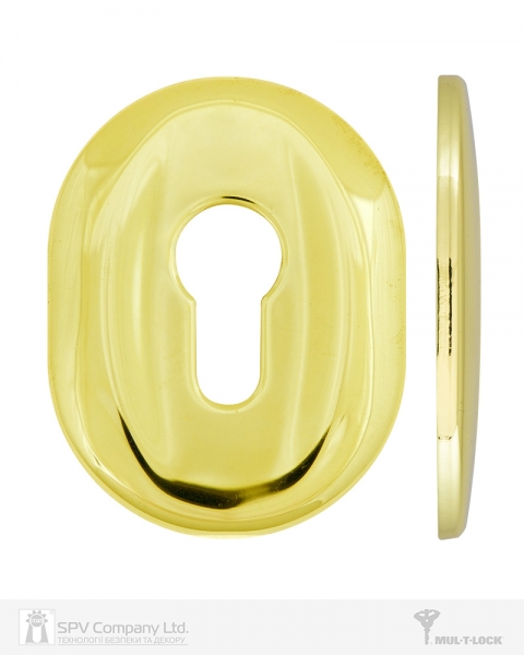 Щиток MUL-T-LOCK MATRIX A618 DIN OVAL 40-50мм Латунь PVD BRIGHT BRASS PVD Без шторки-фото-3 Фото 3 - Щиток MUL-T-LOCK MATRIX A618 DIN OVAL 40-50мм Латунь PVD BRIGHT BRASS PVD Без шторки.