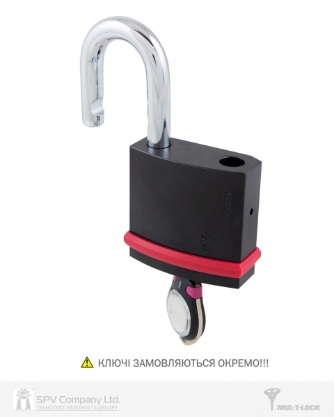 Замок висячий MUL-T-LOCK NE12L INTERACTIVE+ CLIQ GAMMA LEFT M/S NR_shackle 25мм 12мм BOX_M-фото-12 Фото 12 - Замок висячий MUL-T-LOCK NE12L INTERACTIVE+ CLIQ GAMMA LEFT M/S NR_shackle 25мм 12мм BOX_M.