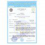 Сейф вогнестійкий FS.90.E ML-фото-8 Фото 8 - Сейф вогнестійкий FS.90.E ML.