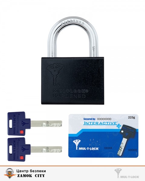 Замок висячий MUL-T-LOCK M10/C1 MTL600 223G 2KEY DND3D_BLUE_INS NR_shackle 30мм 9,5мм-фото-6 Фото 6 - Замок висячий MUL-T-LOCK M10/C1 MTL600 223G 2KEY DND3D_BLUE_INS NR_shackle 30мм 9,5мм.
