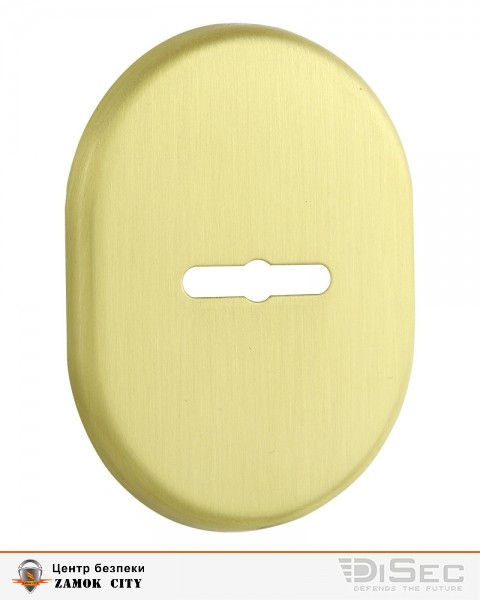 Щиток DISEC KT037 MATRIX OVAL Латунь_мат T Без шторки-фото-2 Фото 2 - Щиток DISEC KT037 MATRIX OVAL Латунь_мат T Без шторки.