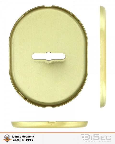 Щиток DISEC KT037 MATRIX OVAL Латунь_мат T Без шторки-фото-3 Фото 3 - Щиток DISEC KT037 MATRIX OVAL Латунь_мат T Без шторки.