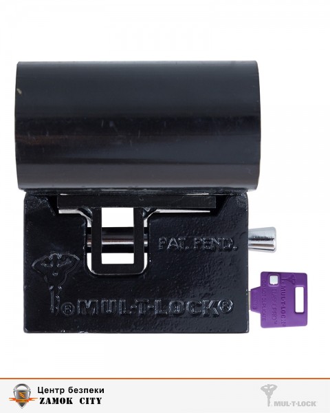 Замок MUL-T-LOCK VAN CONTAINER BLACK накладний на дверцята контейнера 4867 3KEY DND3D_PURPLE_INS-фото-5 Фото 5 - Замок MUL-T-LOCK VAN CONTAINER BLACK накладний на дверцята контейнера 4867 3KEY DND3D_PURPLE_INS.