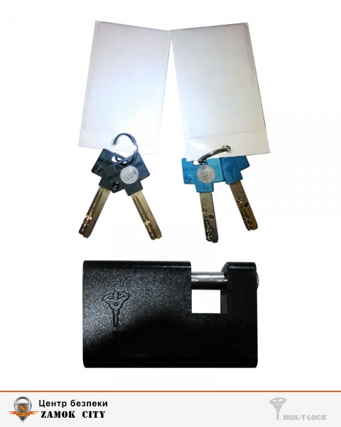 Замок MUL-T-LOCK VAN DOUBLE-KEY BLACK навісний на дверцята автомобіля 006,206 4KEY-фото-4 Фото 4 - Замок MUL-T-LOCK VAN DOUBLE-KEY BLACK навісний на дверцята автомобіля 006,206 4KEY.